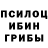 Псилоцибиновые грибы мухоморы Ziva Purandare