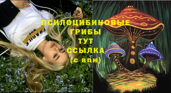 скорость Алзамай