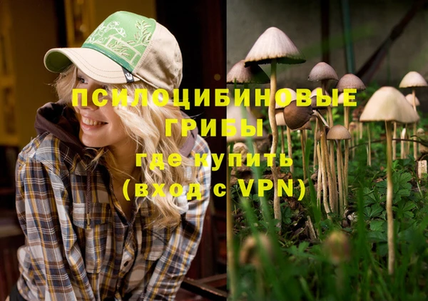скорость Алзамай