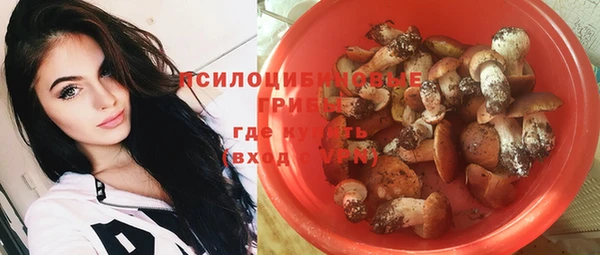 скорость Алзамай
