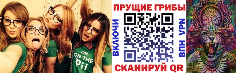 Галлюциногенные грибы GOLDEN TEACHER Темрюк