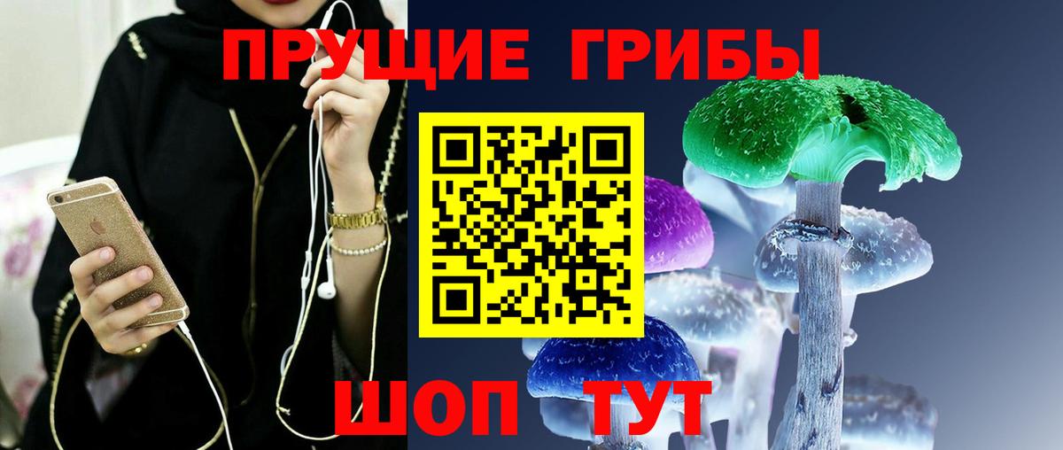 Псилоцибиновые грибы Cubensis Темрюк